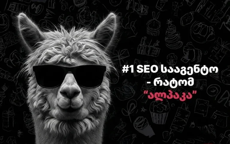 პირველი და საუკეთესო SEO სააგენტო საქართველოში "ალპაკა"